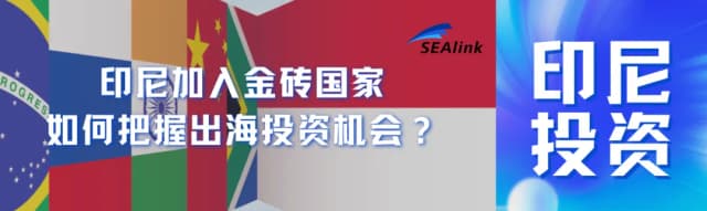 印尼加入金砖国家，如何把握出海投资机会
